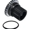 Shimano Zahnkranzkörper XT / SLX 12-fach Ab 2020 Y-3G198050